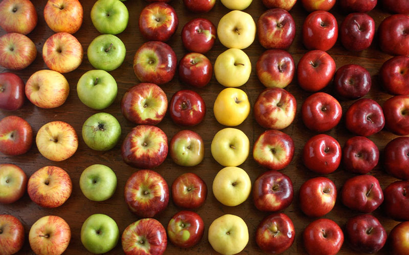  Freshness in Every Bite